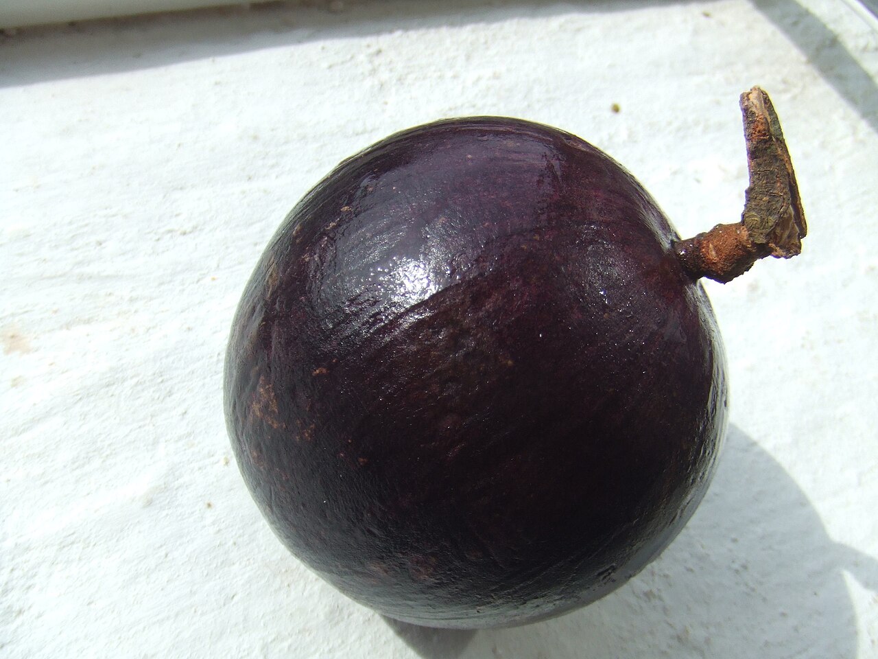 Star apple – Chrysophyllum cainito